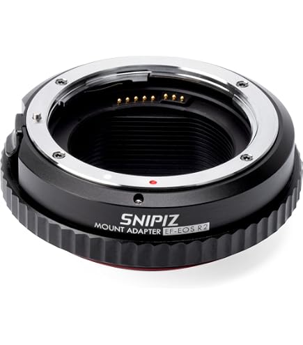Canon Mount Adapter EF-EOS M : Amazon.sg: Electronics